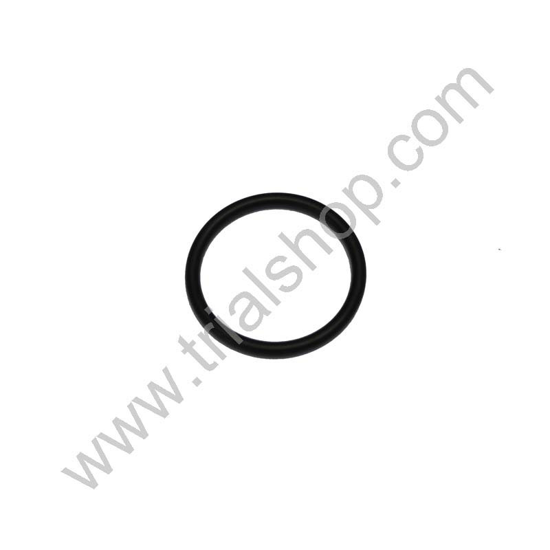ANELLO OR 18,77.22,33.1,78