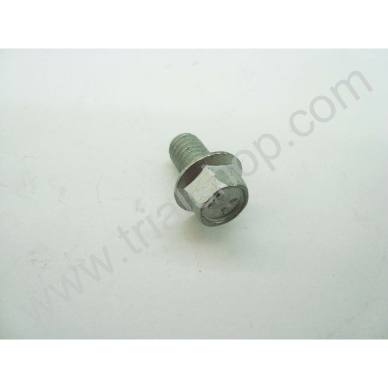 BULLONE 6.10 RS CH 8