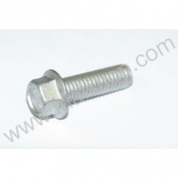BULLONE 6.20 RS CH 8