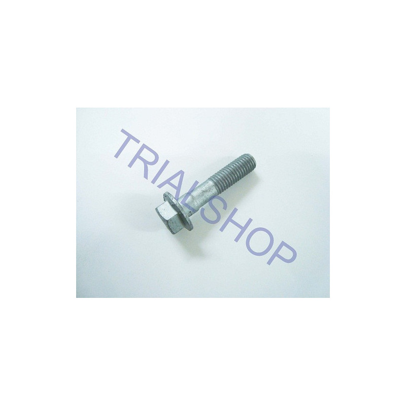 BULLONE SPEC. 7.31 (CLASSE 12.9)
