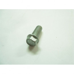 BULLONE 8.20 RS CH 10 LISCIO