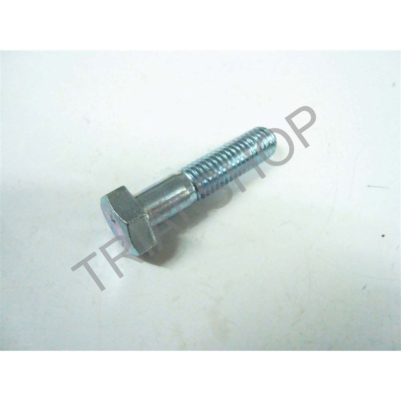 BULLONE 8.35 PF CH 13 RS