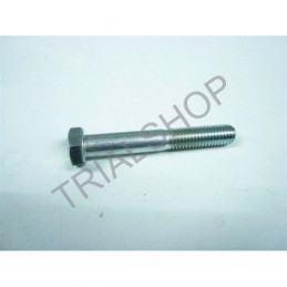 BULLONE 8.55 PF CH 13 RS