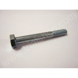 BULLONE 10.85 PF CH 17 RS