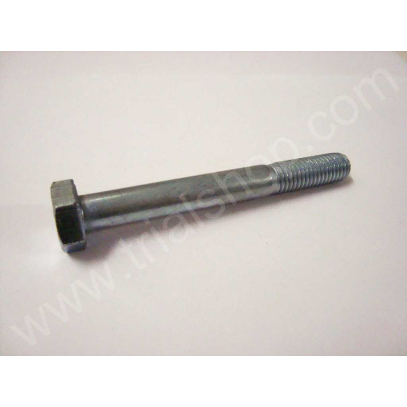 BULLONE 10.85 PF CH 17 RS