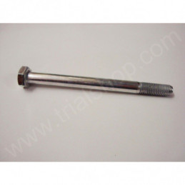 BULLONE 10.120 PF CH 17 RS
