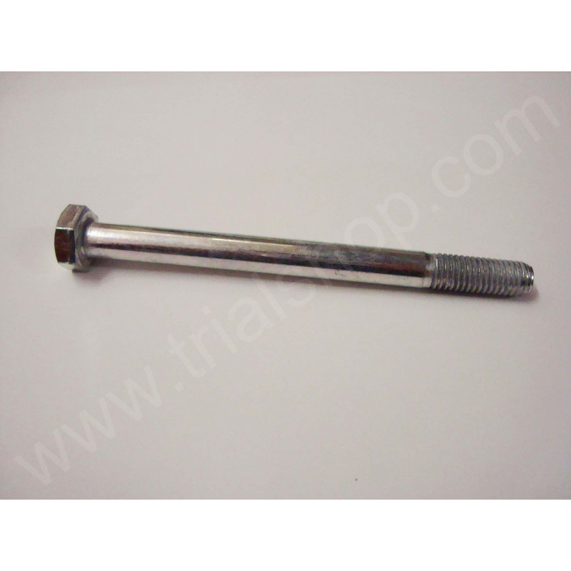 BULLONE 10.120 PF CH 17 RS