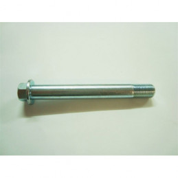 BULLONE 12 . 1,25 . 96
