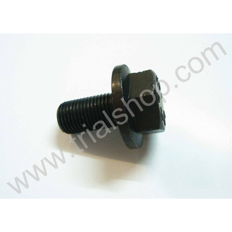 BULLONE SPEC.INGR.MOTORE TECHNO