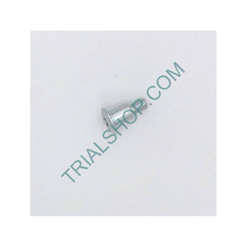BULLONE SPEC. PER LEVA COMANDO CAMB