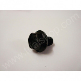 BULLONE PIGNONE (01550-0