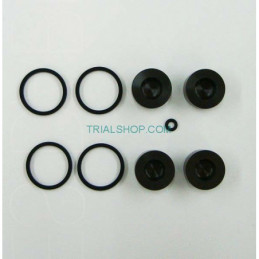 KIT PISTONCINI E GUARNIZ.PINZA-25.0