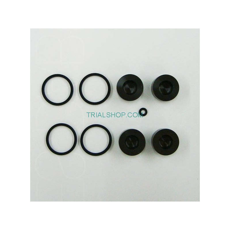 KIT PISTONCINI E GUARNIZ.PINZA-25.0