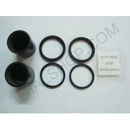 KIT PISTONCINI E GUARNIZ. PINZA 25.