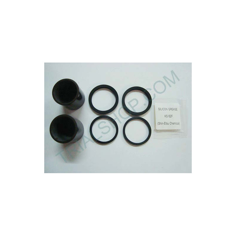 KIT PISTONCINI E GUARNIZ. PINZA 25.