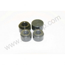 KIT PISTONCINI PER PINZA 25.0306