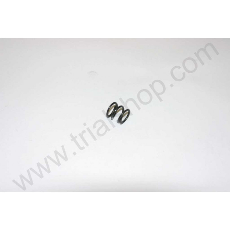 MOLLA REGISTRO LEVA FRENO ANT.REV 3