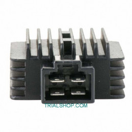 Regolatore Livello Tensione e Ventilatore Gas Gas – Jitsie –