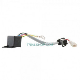 Regolatore per Ventilatore Sherco – Jitsie –