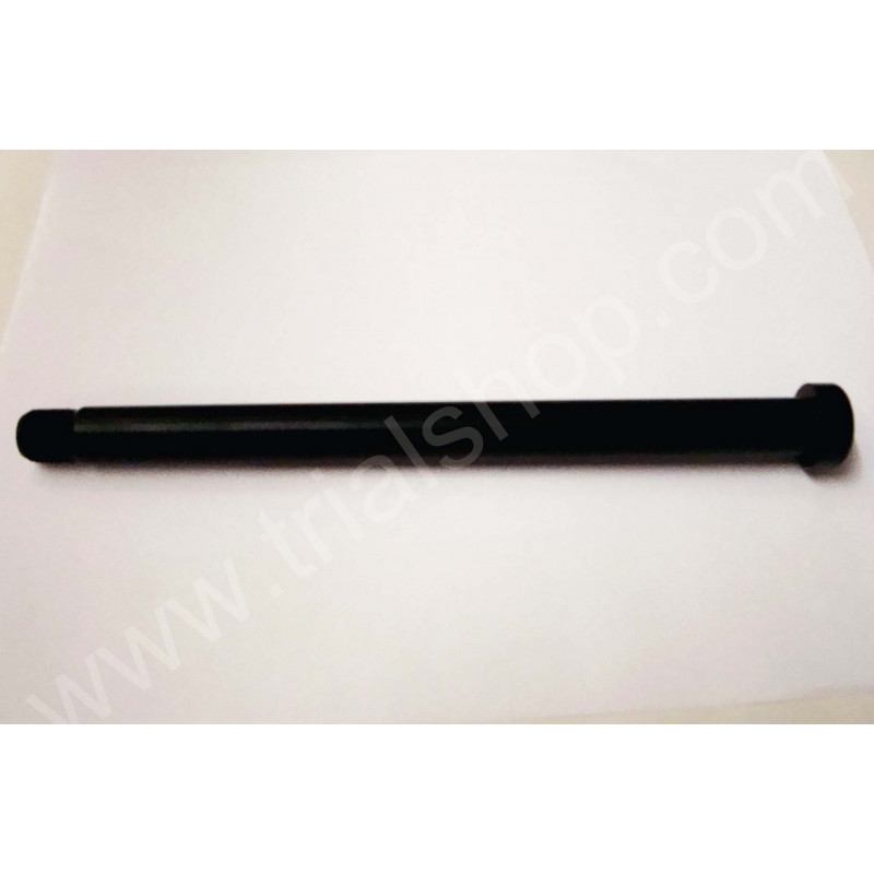 PERNO ERGAL RUOTA POST.REV 3 -2002-
