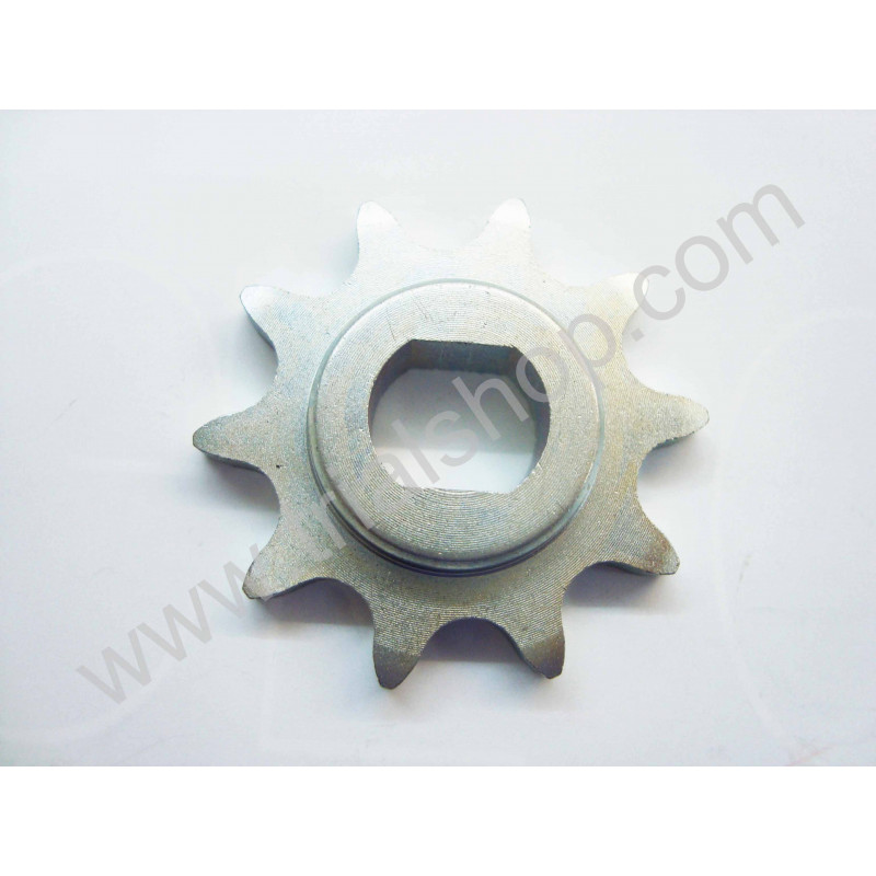 PIGNONE CATENA Z.10 MINI CROSS 10″