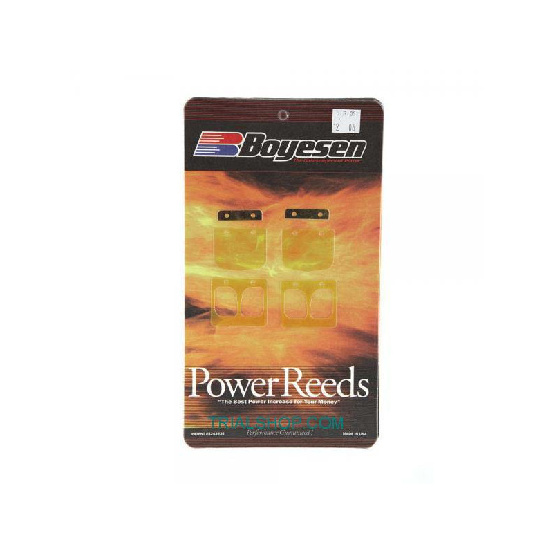 Lamelle Power 6TR106 Beta Evo – Boyesen –
