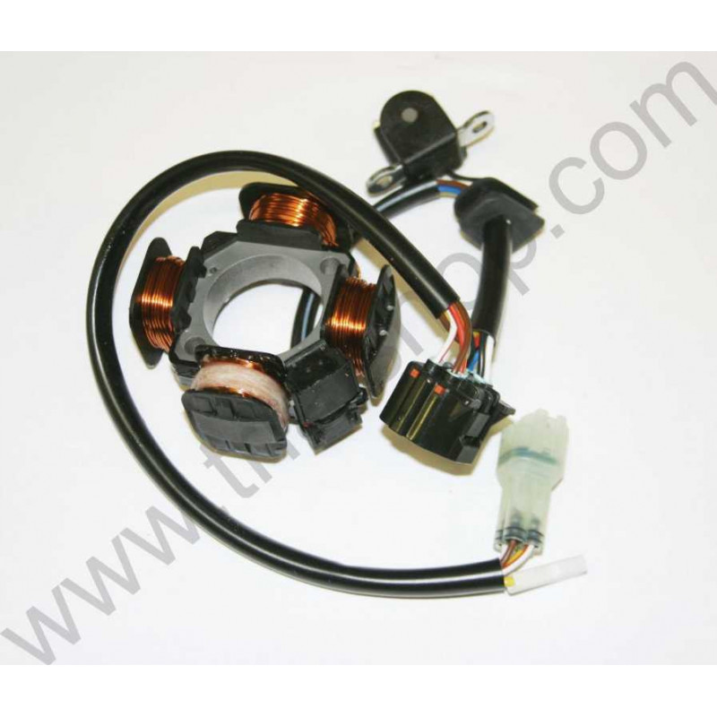 STATORE VOLANO VTM-TS’09 (3103237/8