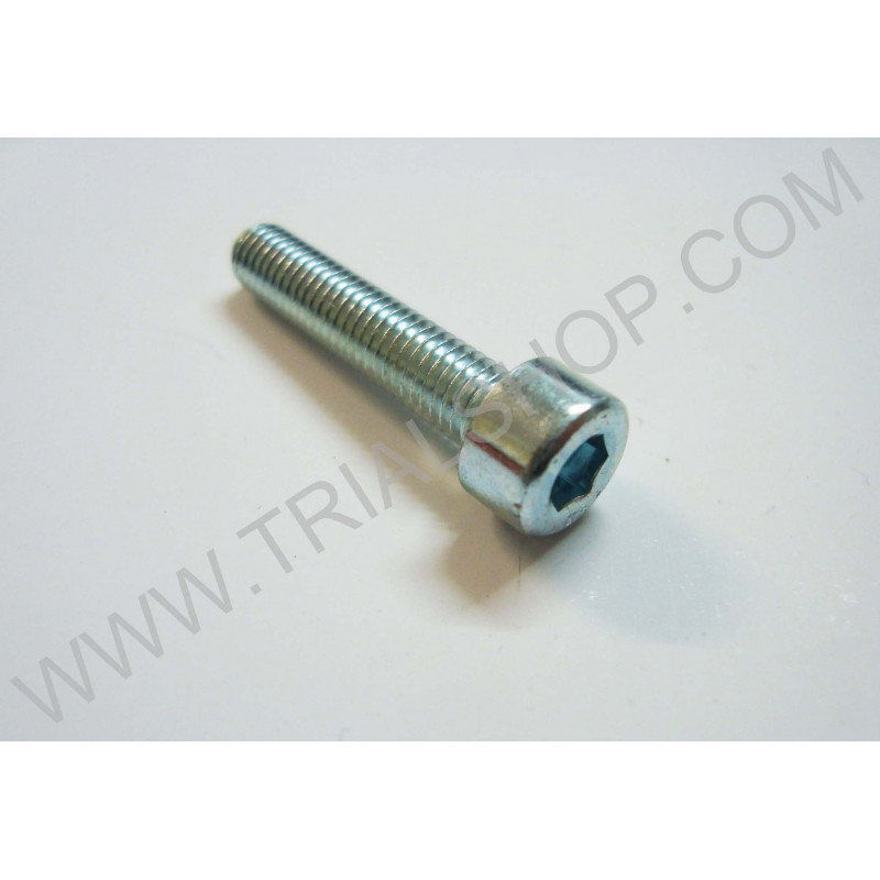VITE TCCE 5.25 UNI 5931