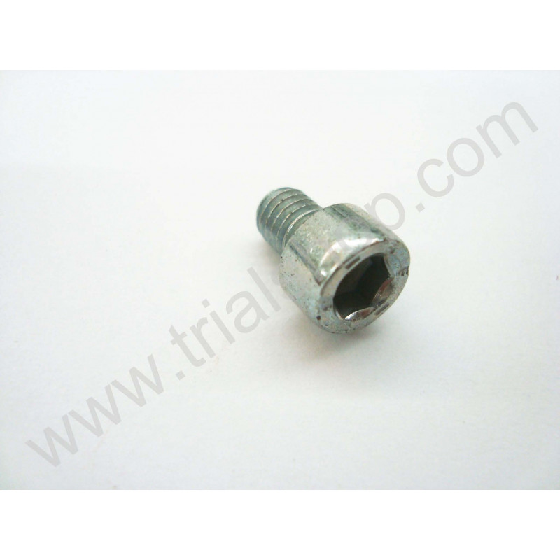 VITE BRUGOLA TCCE 6.8