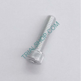 VITE BRUGOLA TCCE 8.30 UNI 5931