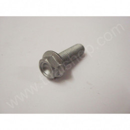 VITE FLANGIATA 8X25 CH10