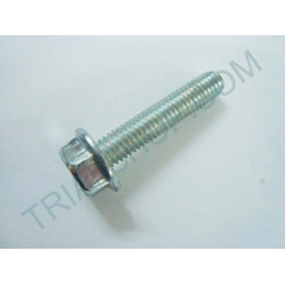 VITE SPEC. M6X30 FORCELLA REV