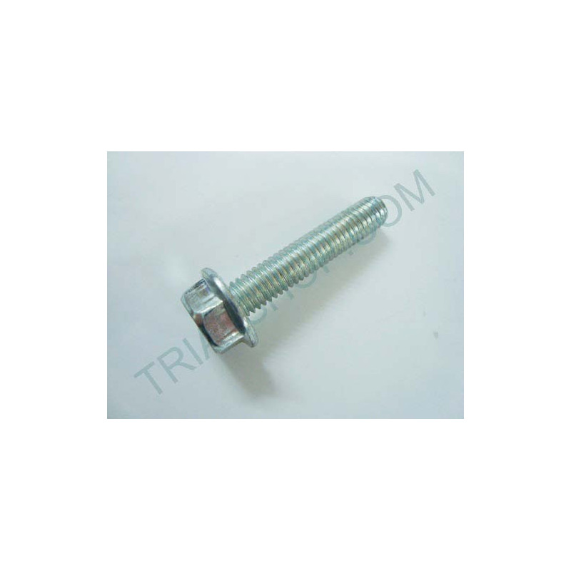 VITE SPEC. M6X30 FORCELLA REV