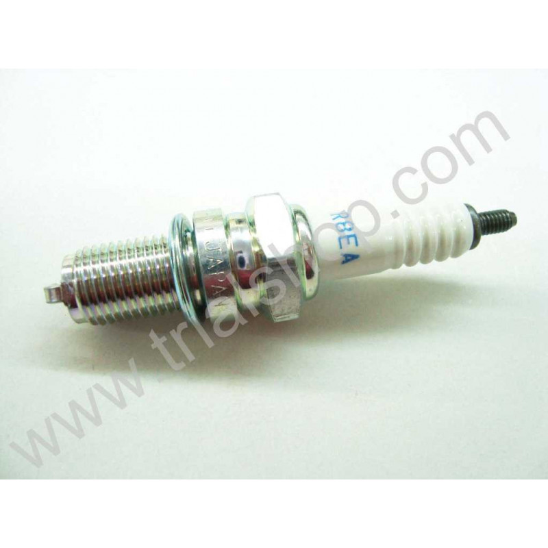 CANDELA (09482-