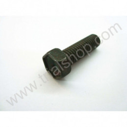 BULLONE (01500-0
