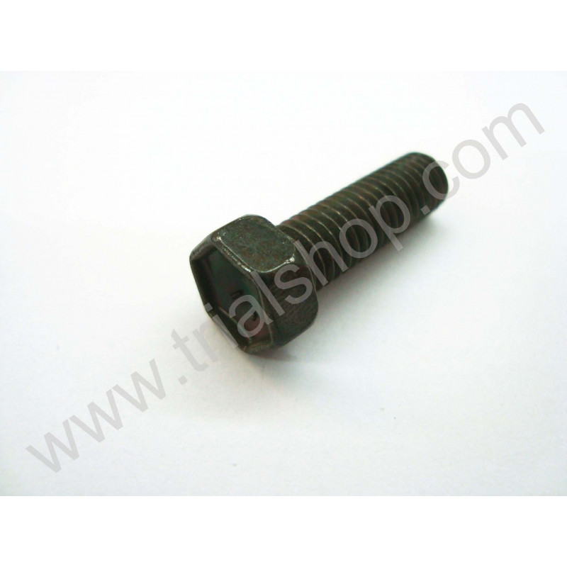 BULLONE (01500-0