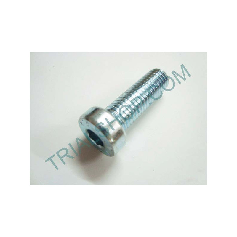 VITE BRUGOLA TCCE 8.25 T.BASSA CMPL