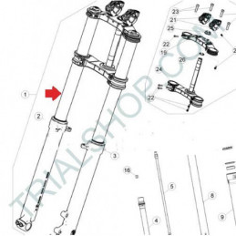 GAMBA FORCELLA DX FACTORY
