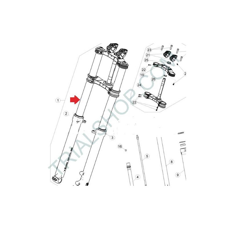 GAMBA FORCELLA DX FACTORY