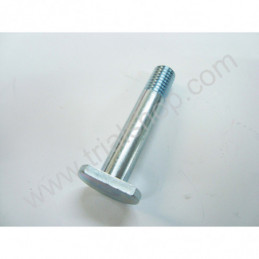 Vite speciale collegamento bielletta telaio Beta EVO 2T/4T