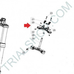 Gruppo piastra superiore forcella con cavallotti Beta EVO 2T/4T, Senior 80 cc