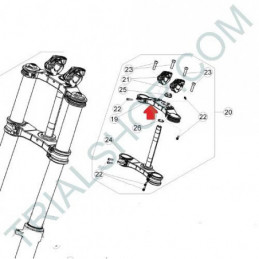 Piastra forcella superiore Beta EVO 2T/4T, Factory