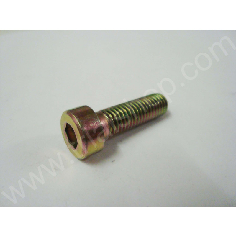 VITE BRUGOLA 8MM