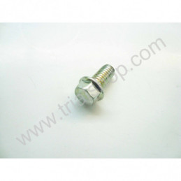 VITE FLANGIATA M6X12