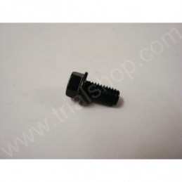 VITE FLANGIATA M6X12