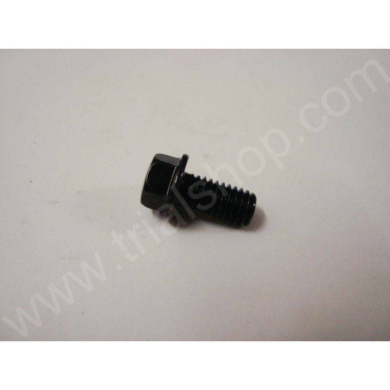 VITE FLANGIATA M6X12