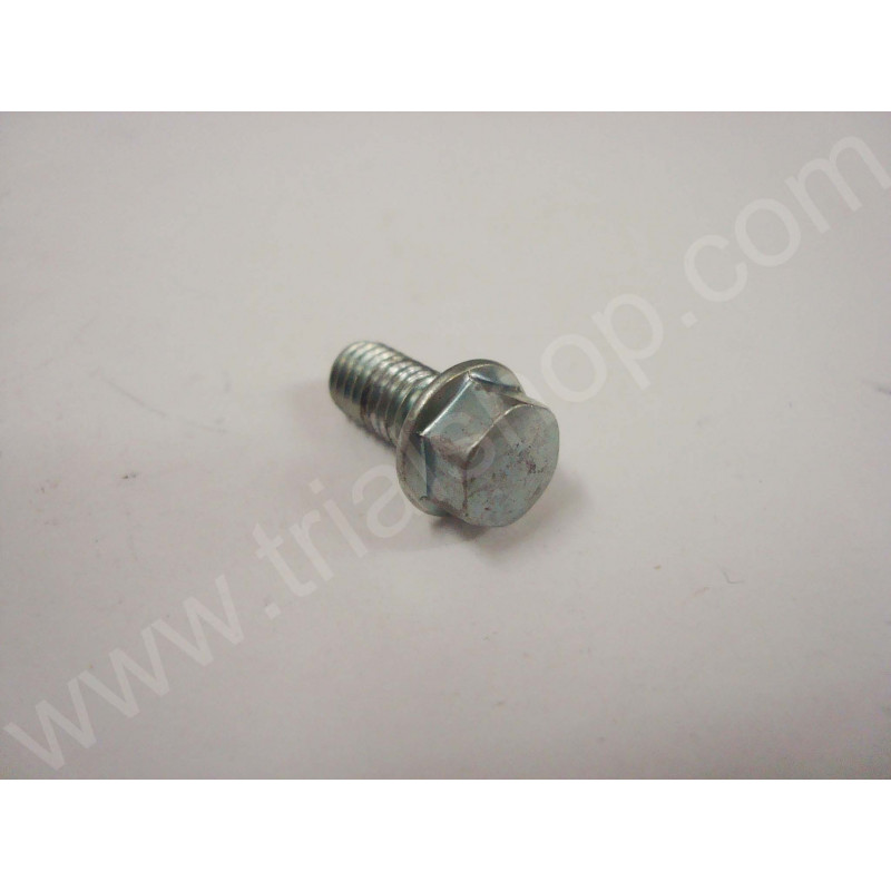 VITE FLANGIATA M6X14