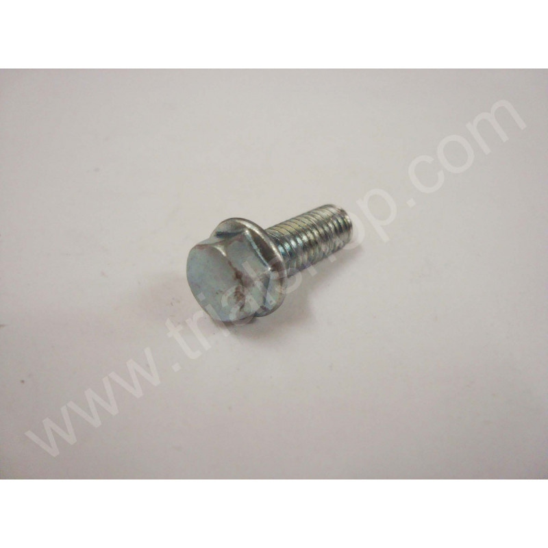 VITE FLANGIATA M6X16