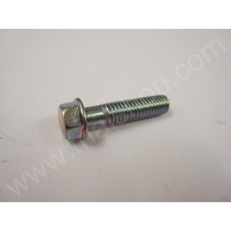 VITE FLANGIATA M6X25