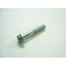 VITE FLANGIATA M6X35